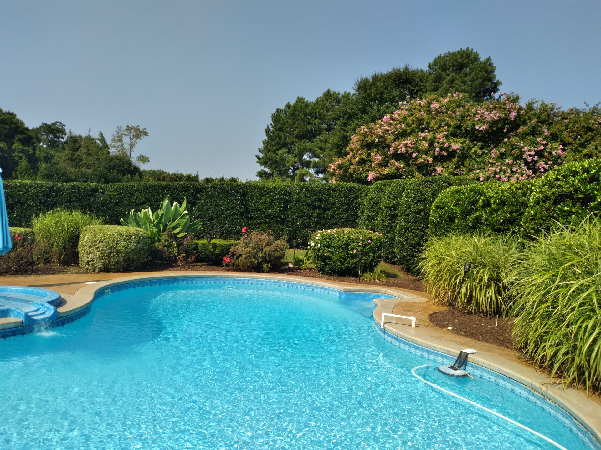 Professional pruning service in Raleigh NC