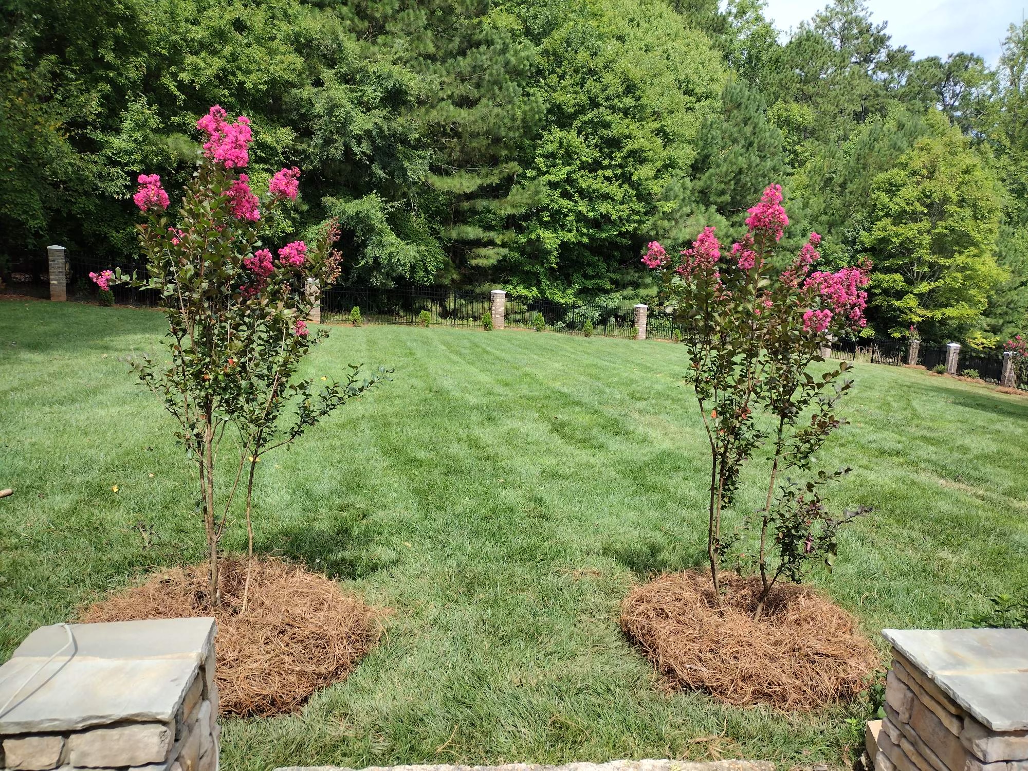 Professional landscaping services by Green Hill Lawn Care in Raleigh NC