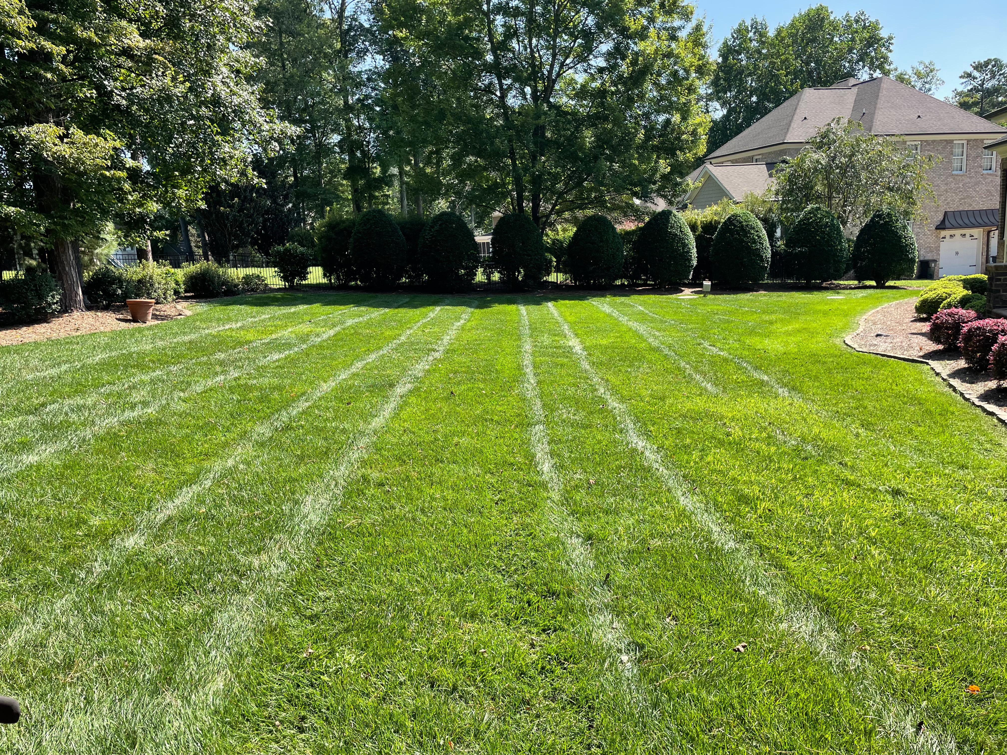 Professional lawn mowing service in Raleigh NC