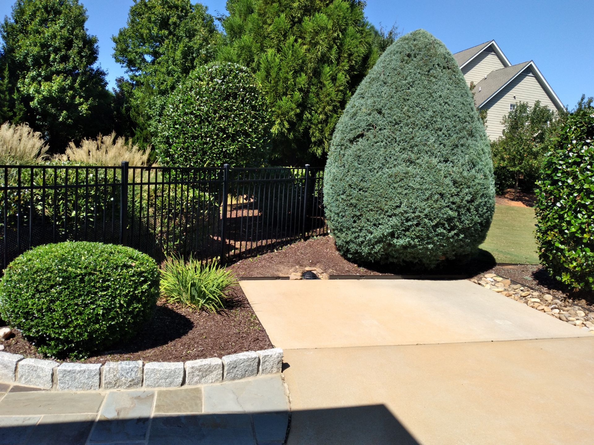 Expert bush and shrub trimming service in Raleigh NC