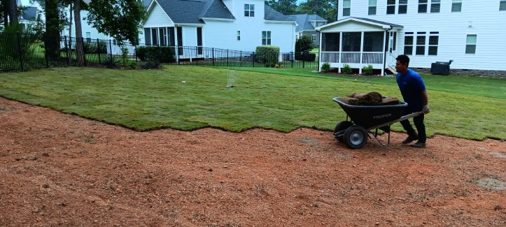 Professional sod installation in Raleigh NC area