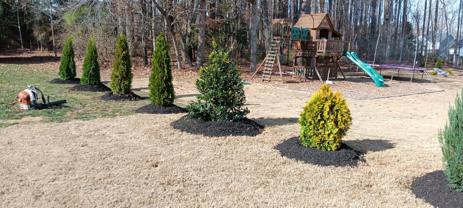 Shrub planting with mulch bed in Raleigh NC