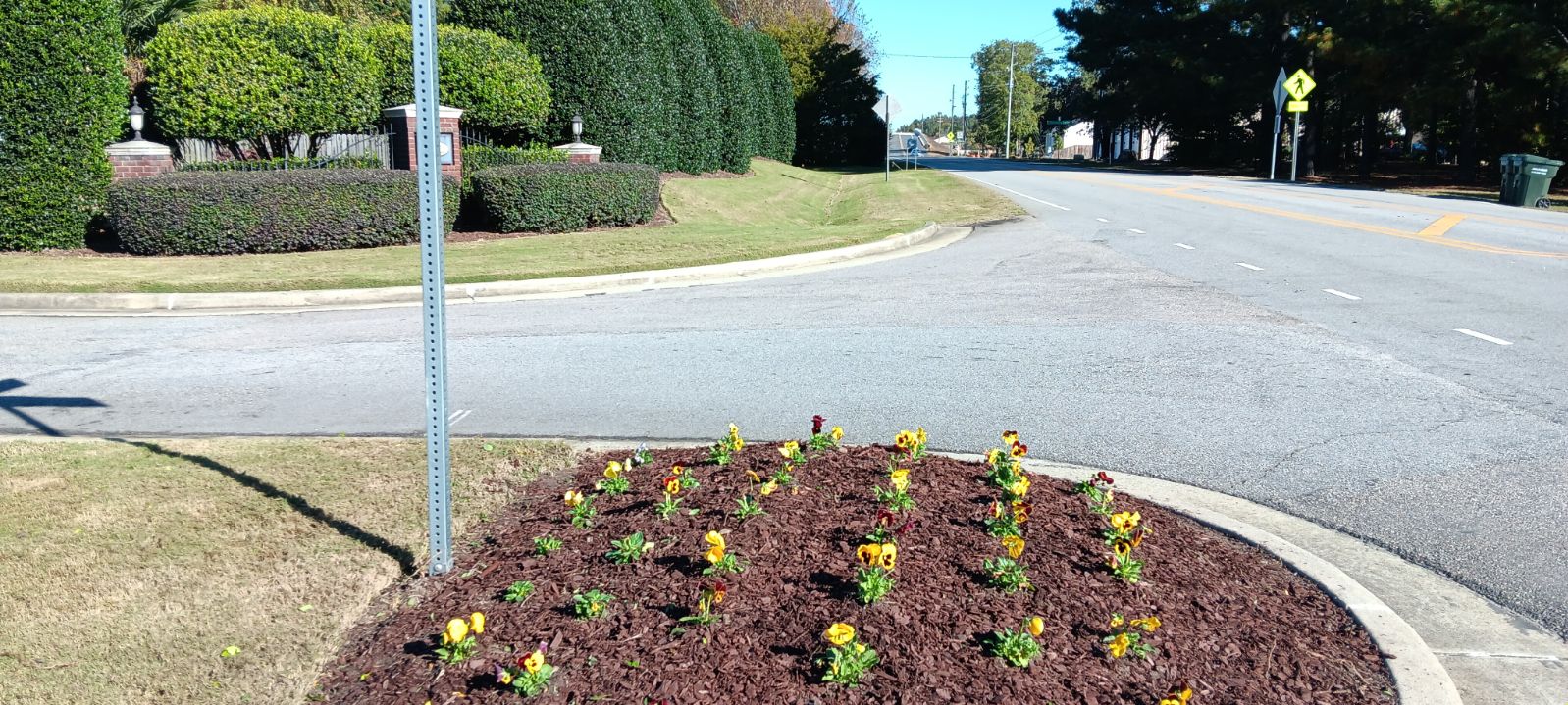 Front entrance seasonal yard cleanup and maintenance in Raleigh NC