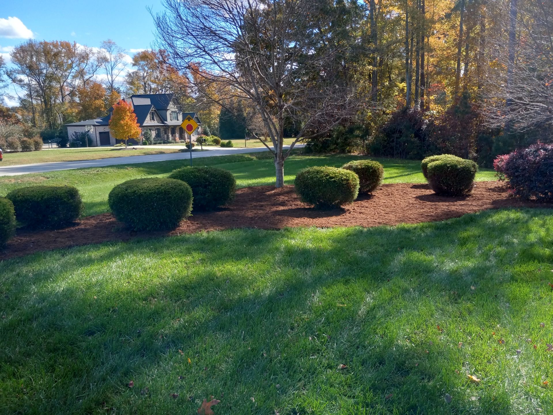 Shrub trimming and mulch installation in Raleigh NC