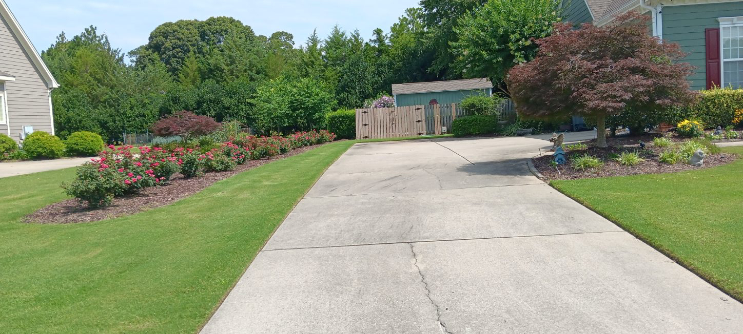 Shrub planting and lawn mowing in Raleigh NC
