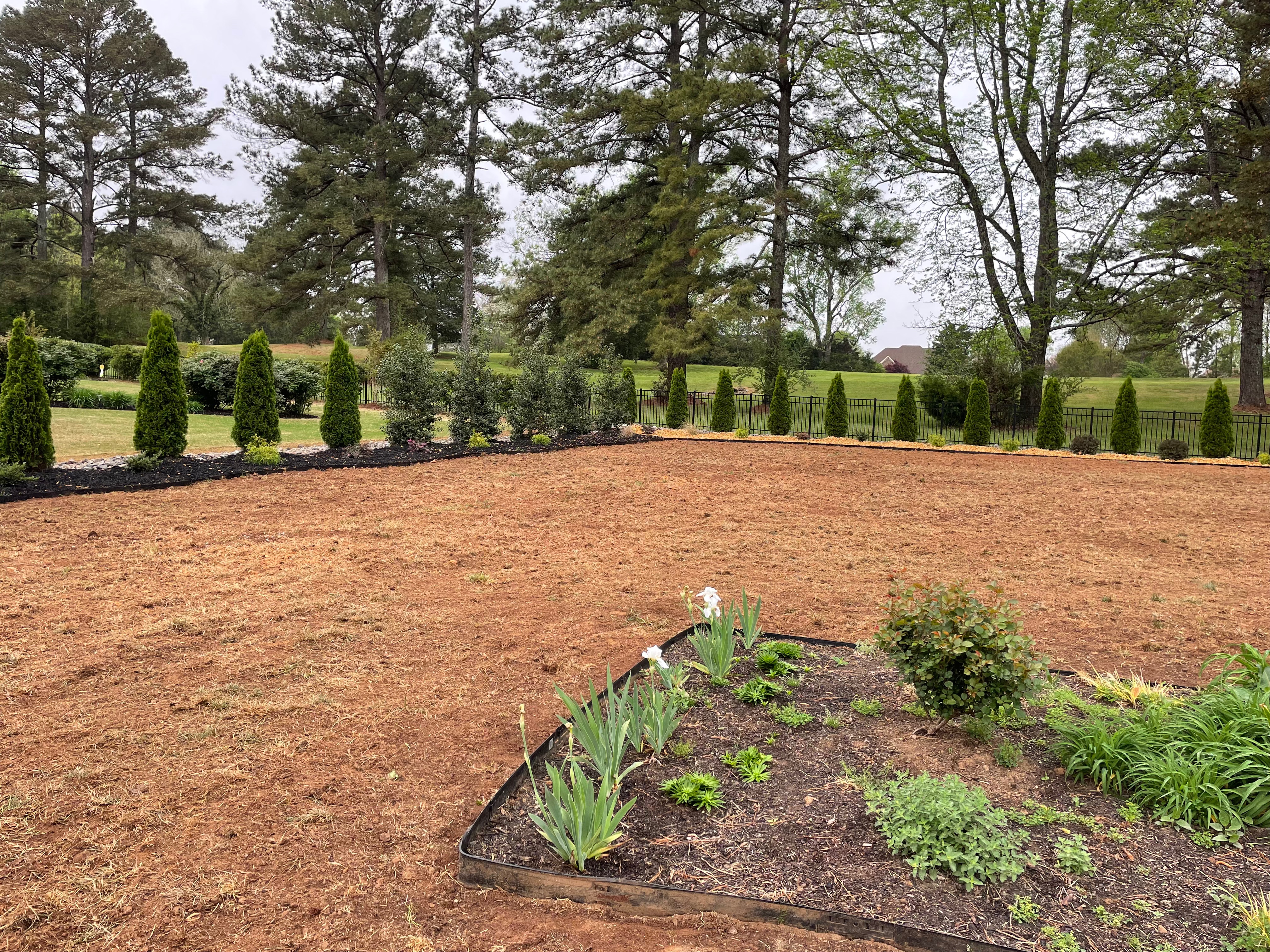 Custom landscaping design with shrub planting in Raleigh NC