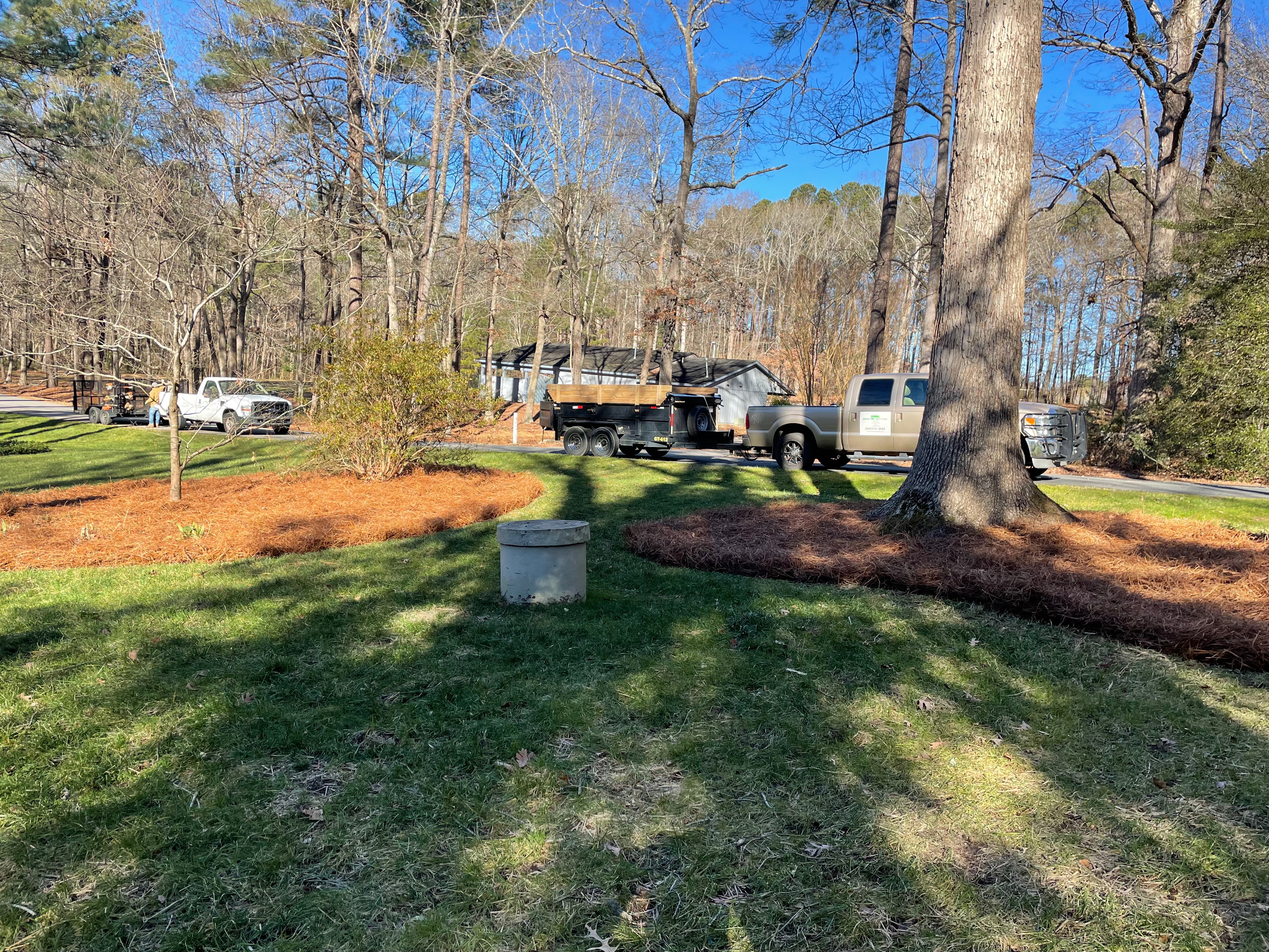 Pine straw installation project in Raleigh NC