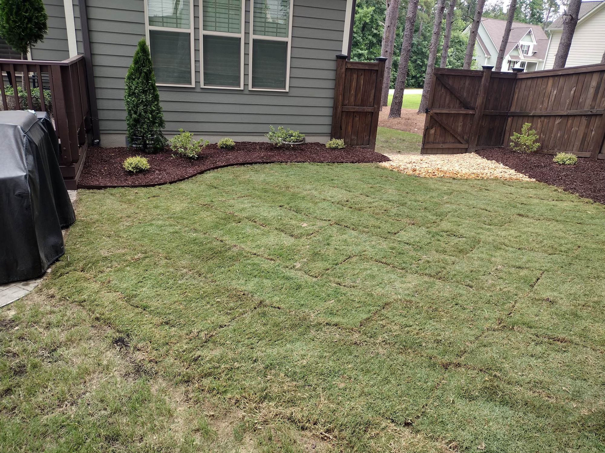 Sod shrub and mulch installation in Raleigh NC